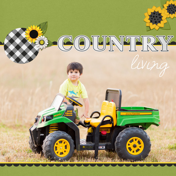 Country Living 1