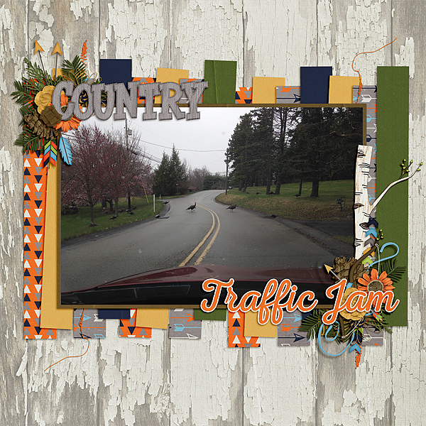 Country Traffic Jam