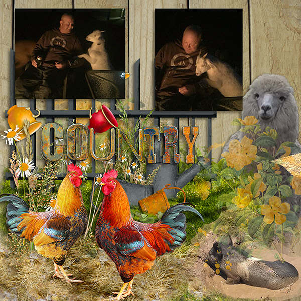 Country