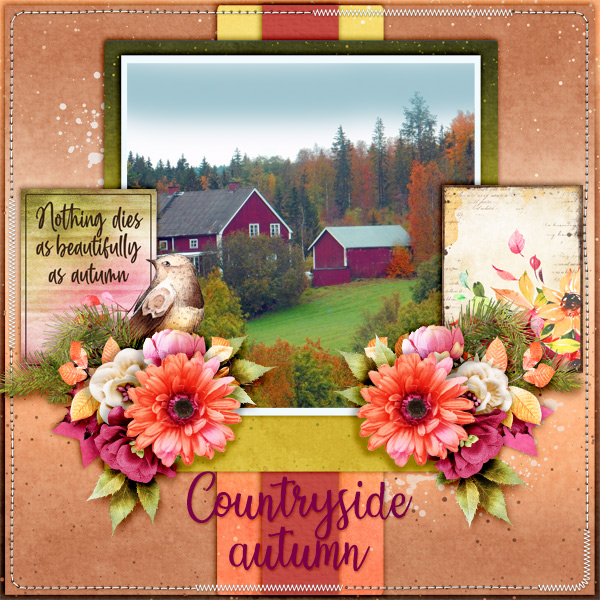 Countryside-autumn