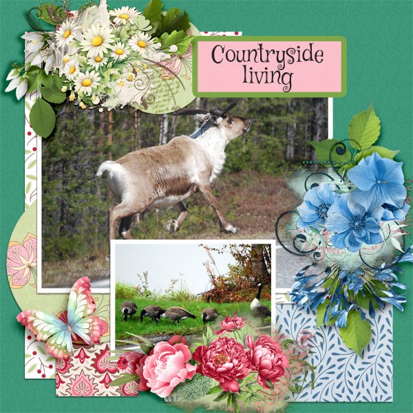 Countryside-living.jpg