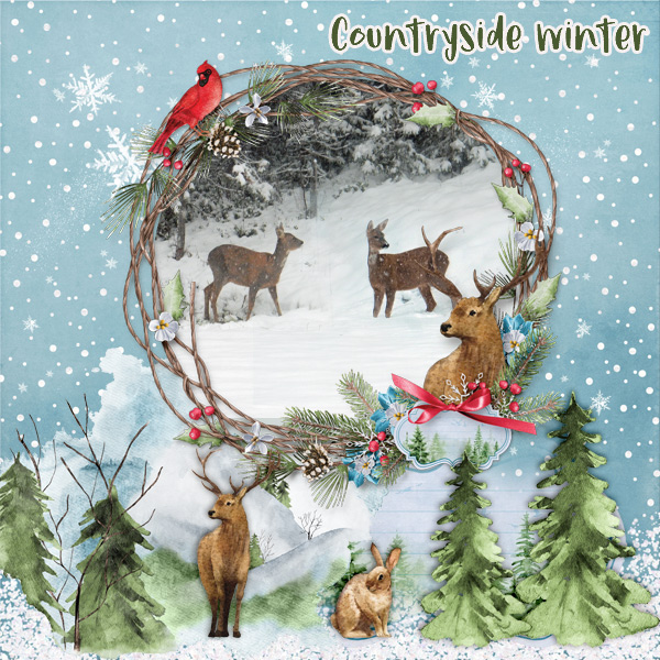 Countryside-winter