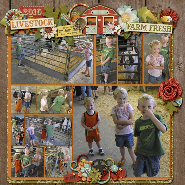 County Fair 2010