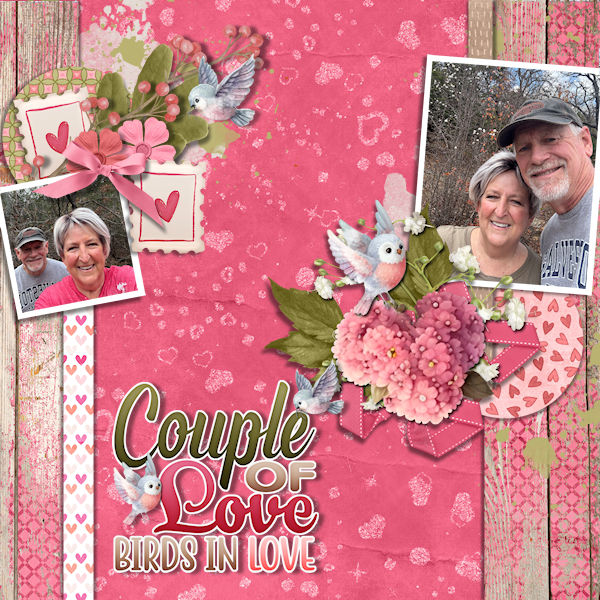 Couple Of Love Birds In Love