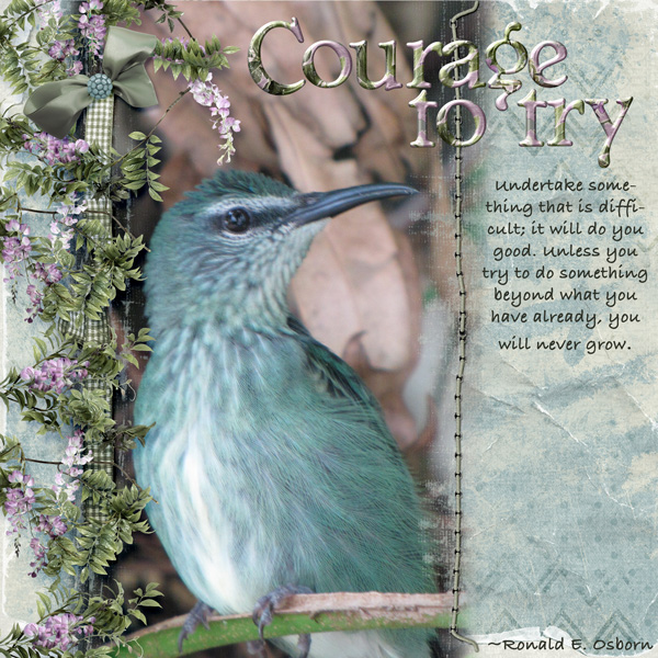 Courage to Try