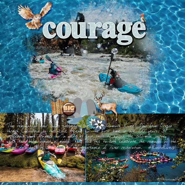 courage-webv.jpg