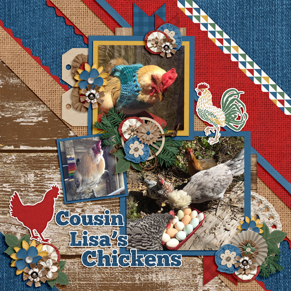 Cousin Lisa's Chickens