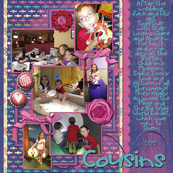 Cousins 2012