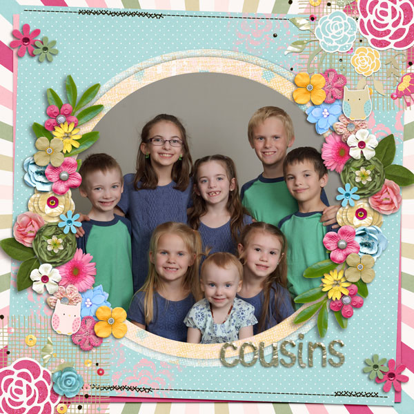 Cousins 2017