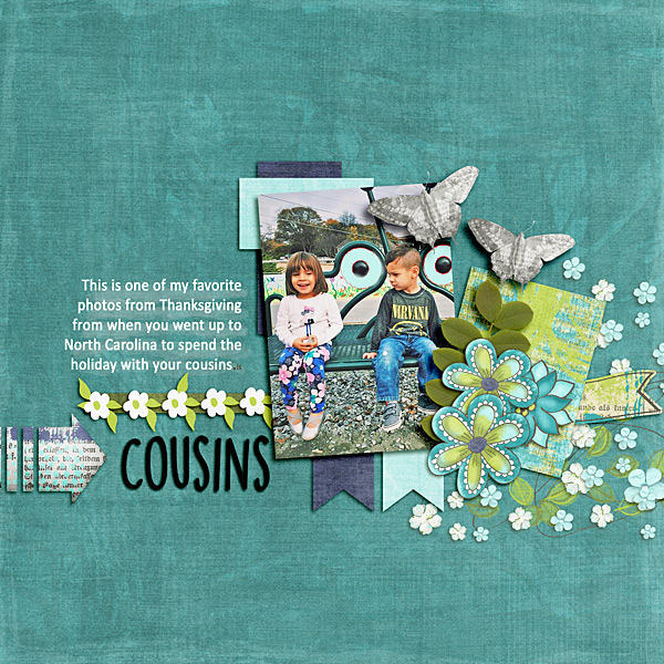 Cousins