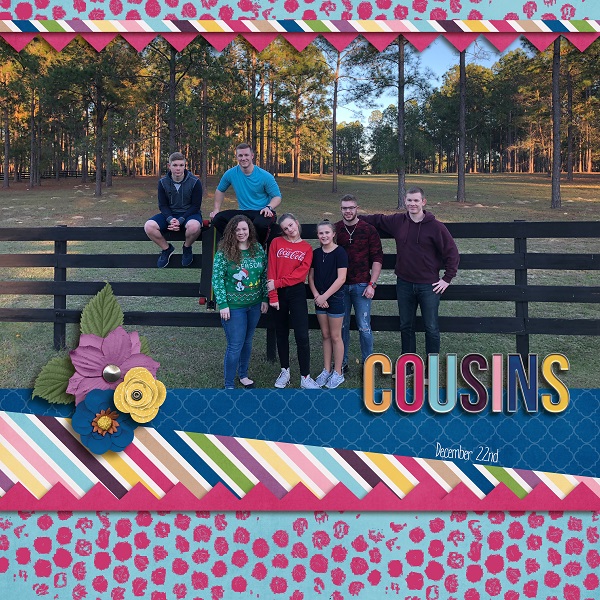 Cousins