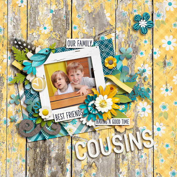 Cousins