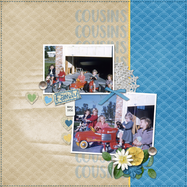 Cousins