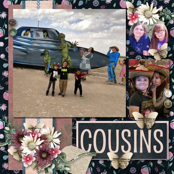 Cousins