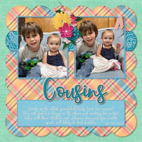 Cousins