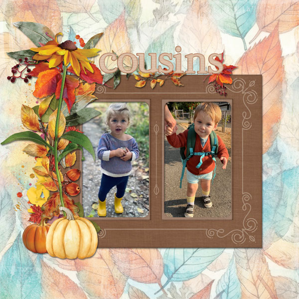Cousins