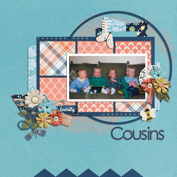 Cousins