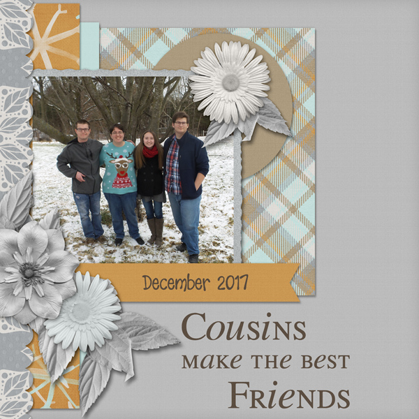 Cousins