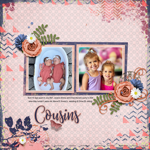Cousins