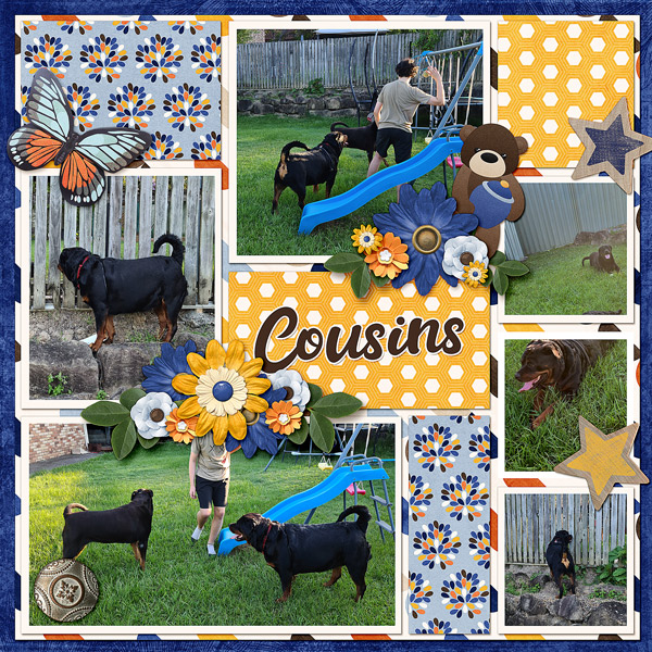 Cousins
