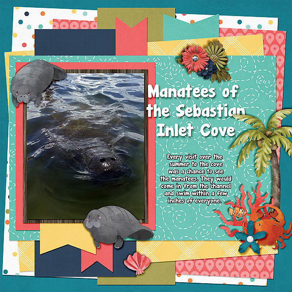 cove-manatees