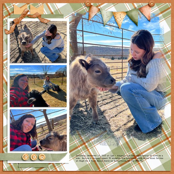 Cow Cuddling 12.10.2023