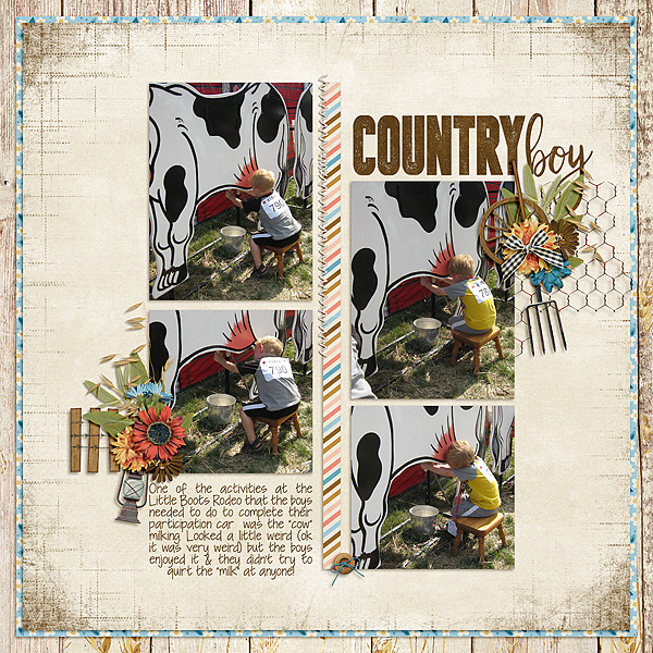 Cow Milking