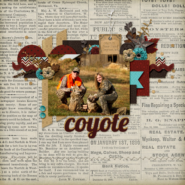 Coyote