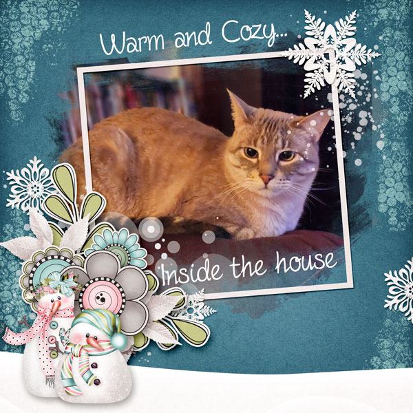 Cozy and Warm