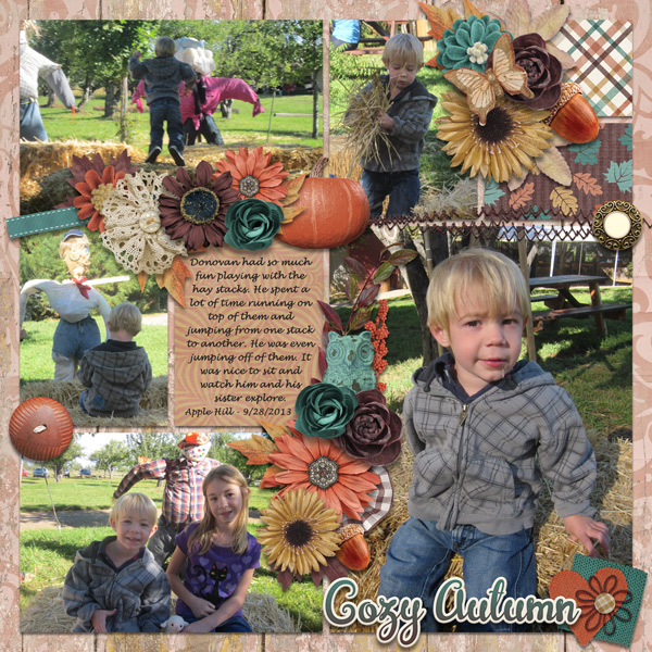 cozy autumn D