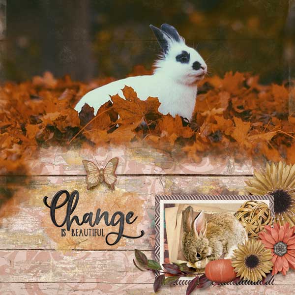 Cozy Autumn