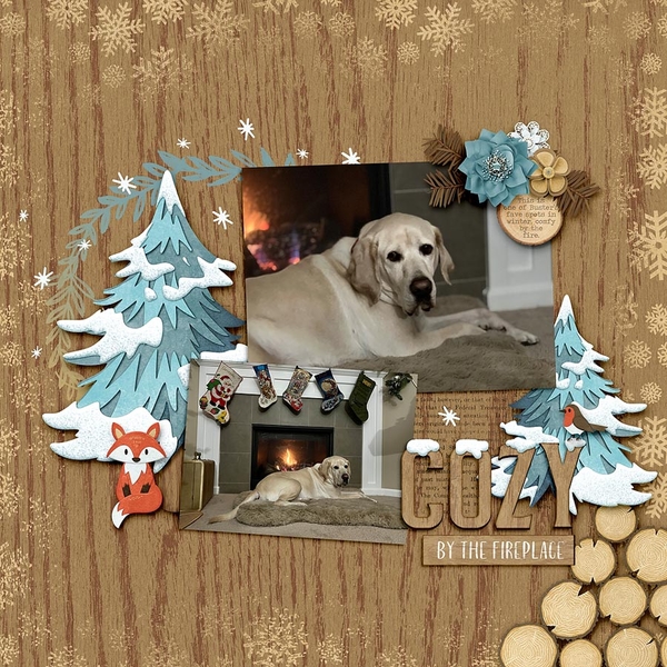 ~Cozy by the Fire~