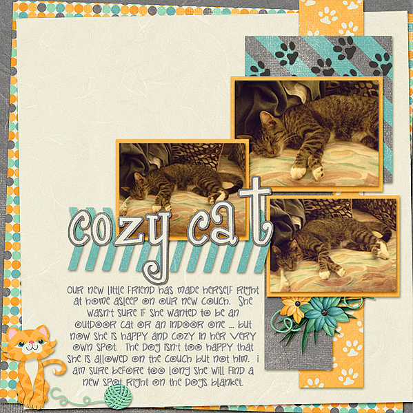 Cozy Cat