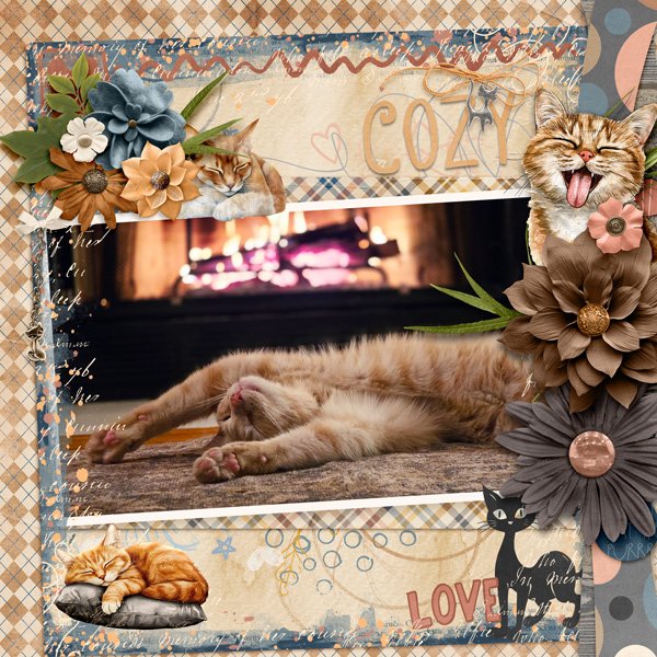 Cozy Cheddar