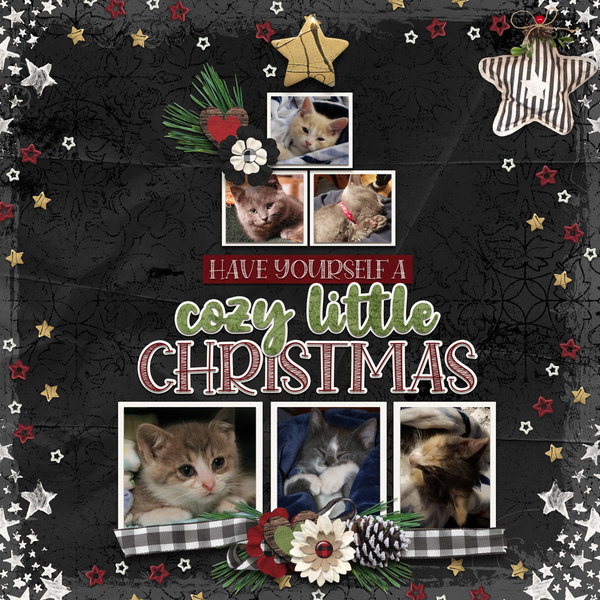 Cozy Christmas