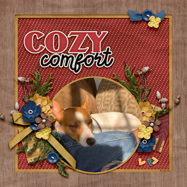 Cozy Comfort