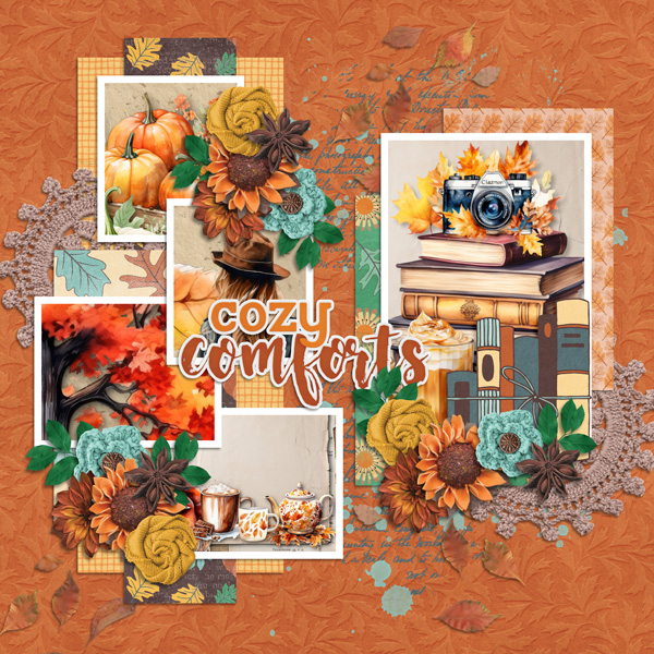Cozy Comforts Tinci Nov24