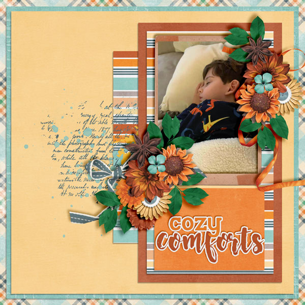 Cozy-Comforts