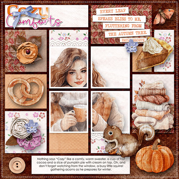 COZY COMFORTS