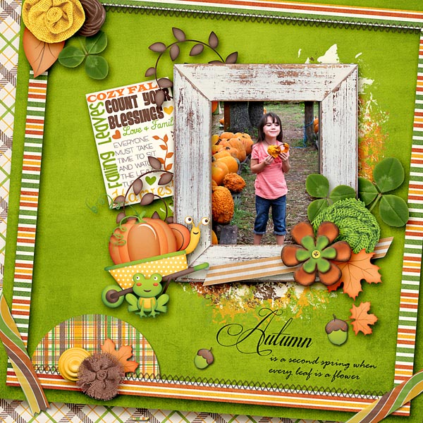 Cozy Fall