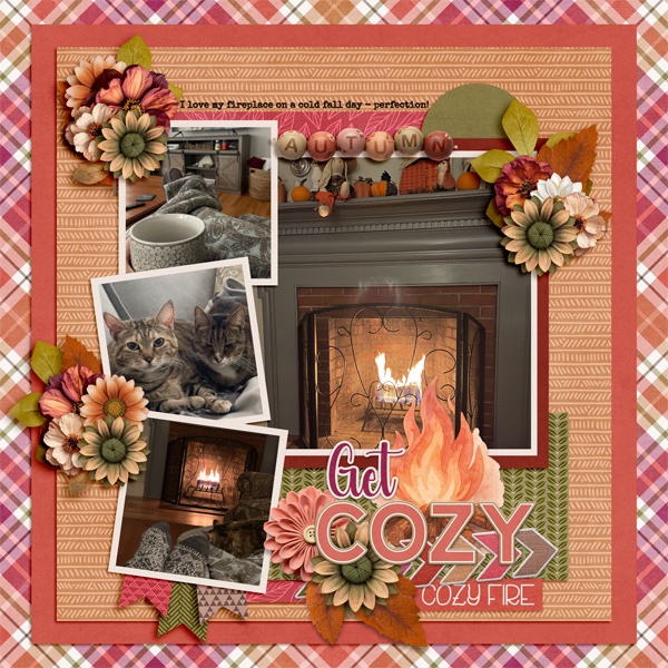 Cozy Fire