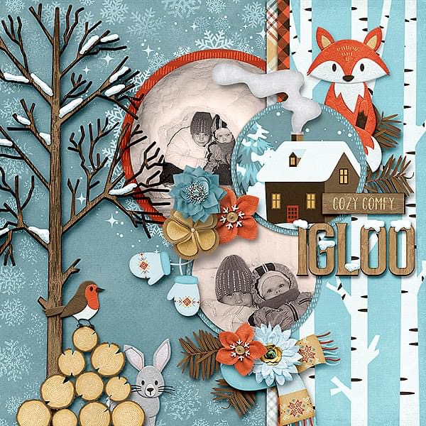 Cozy Igloo