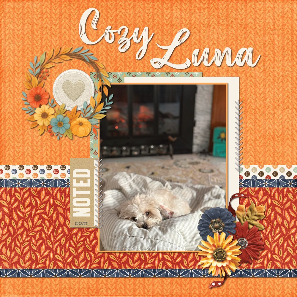 Cozy Luna 11-12-25