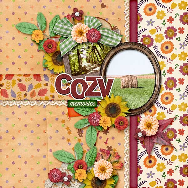Cozy Memories
