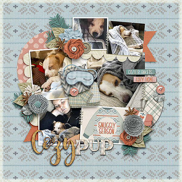 Cozy Pup