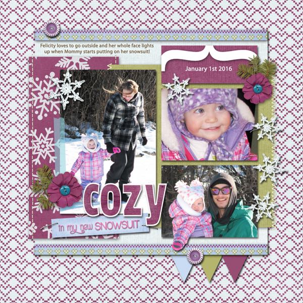 Cozy Snowsuit