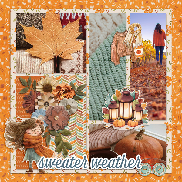 Cozy Things Sweaters