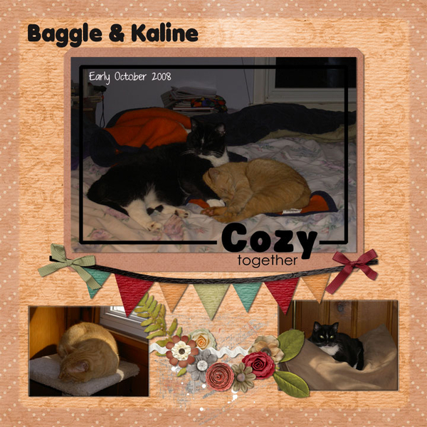 Cozy Together