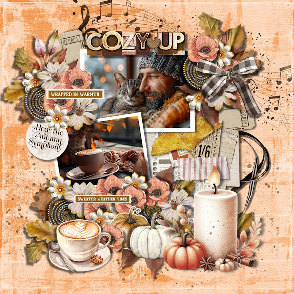 Cozy Up