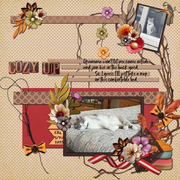 Cozy Up